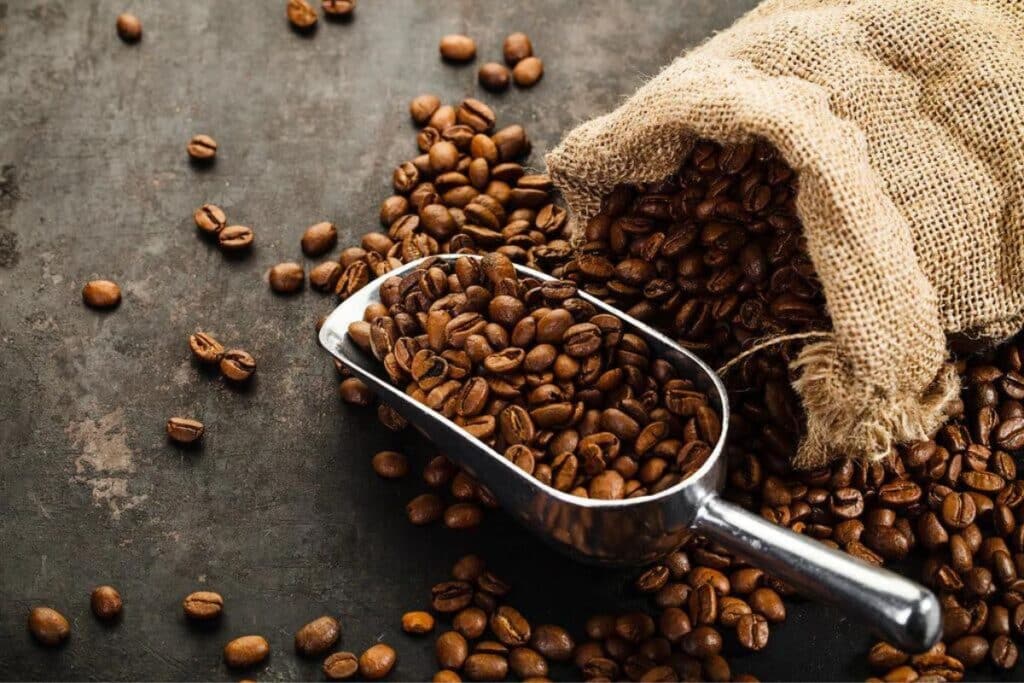 Characteristics of Medium Roast Coffee