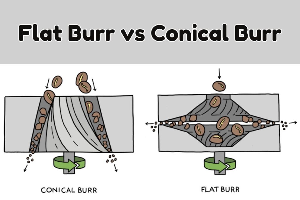 Types of Burr Grinders