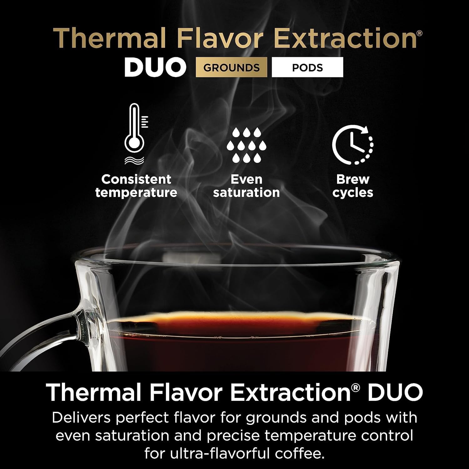 Ninja DualBrew Hot and Iced Coffee Maker